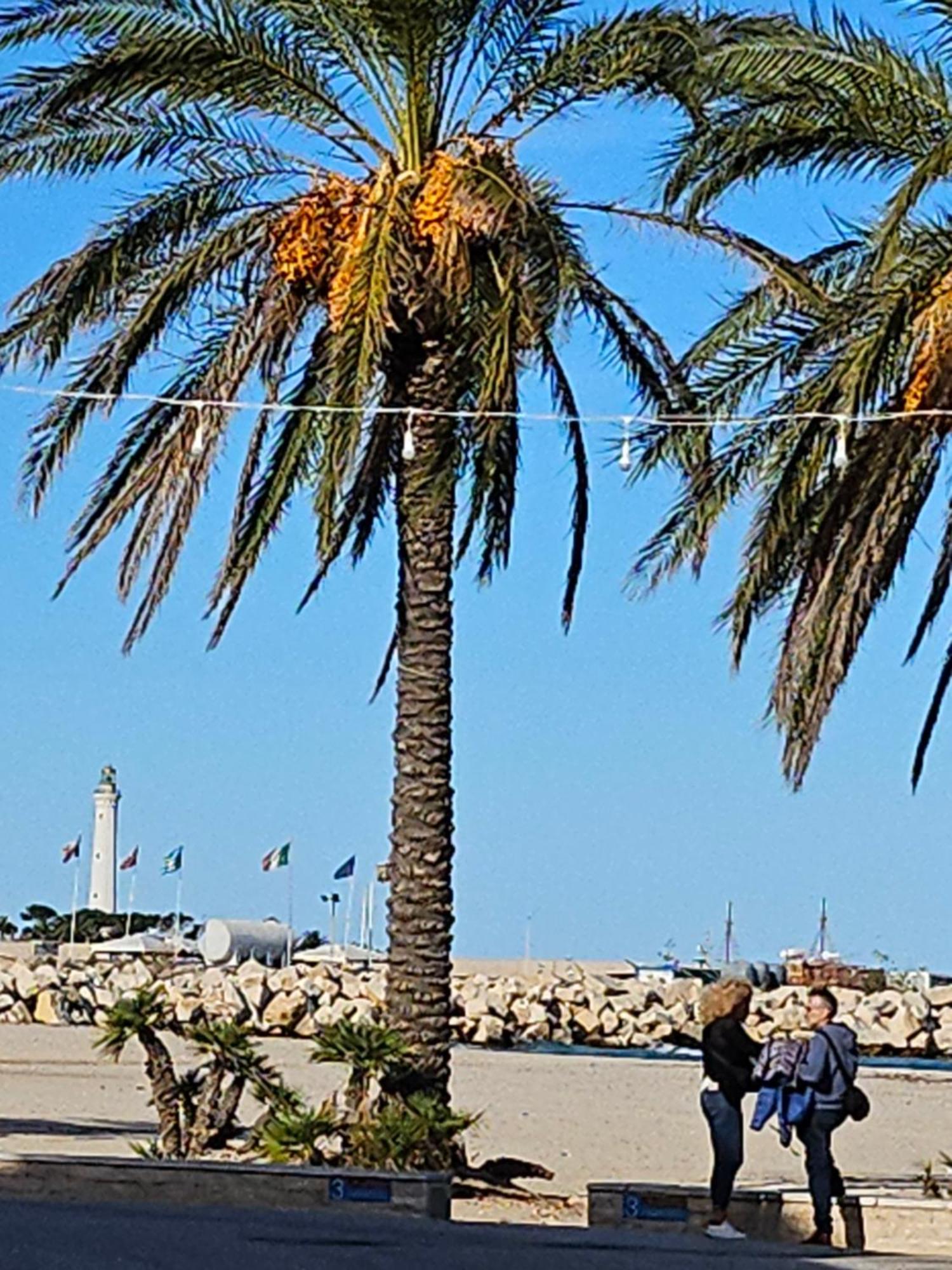 Cico Appartamento San Vito Lo Capo Exterior foto